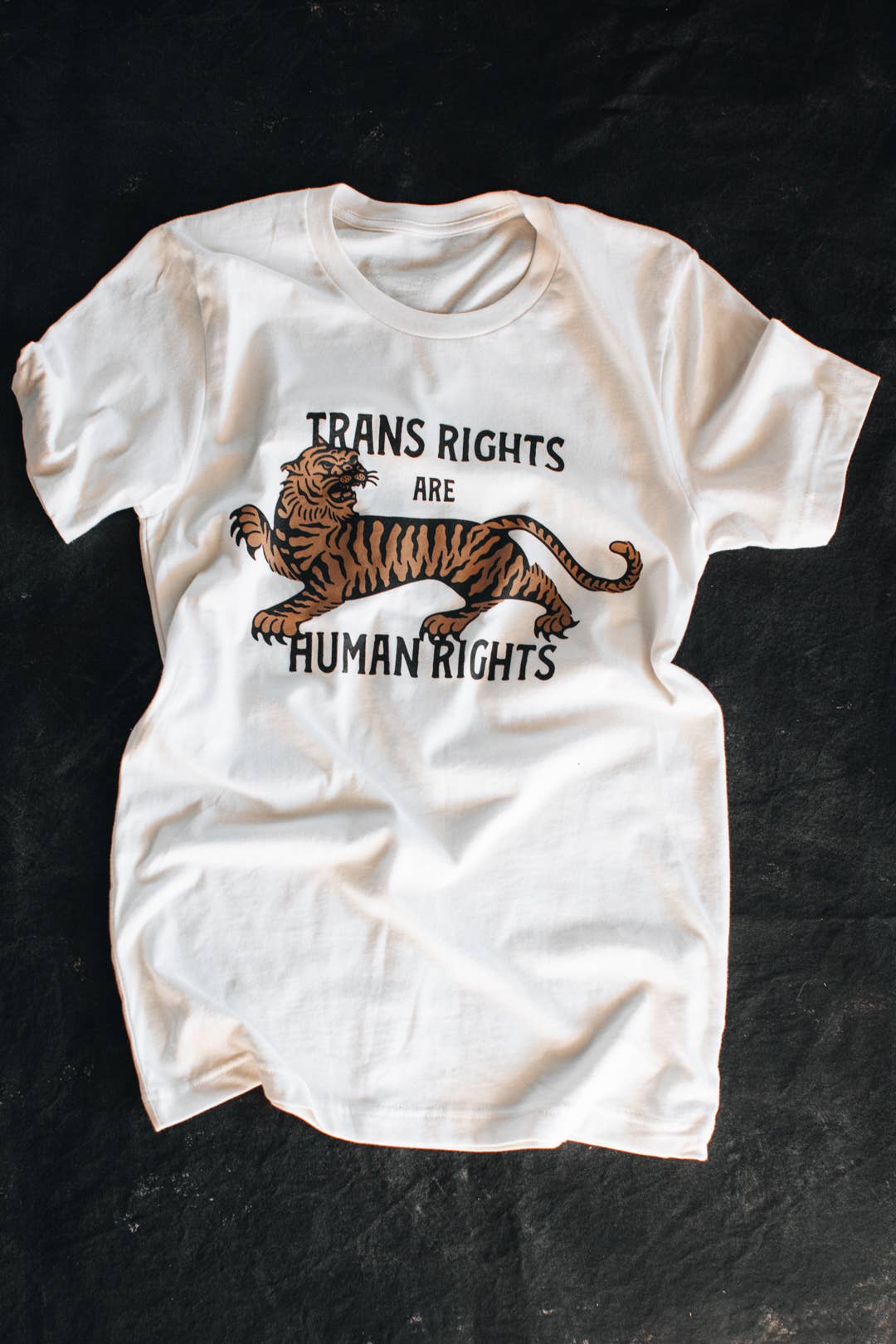 PREORDER: Trans Rights are Human Rights Tee - White