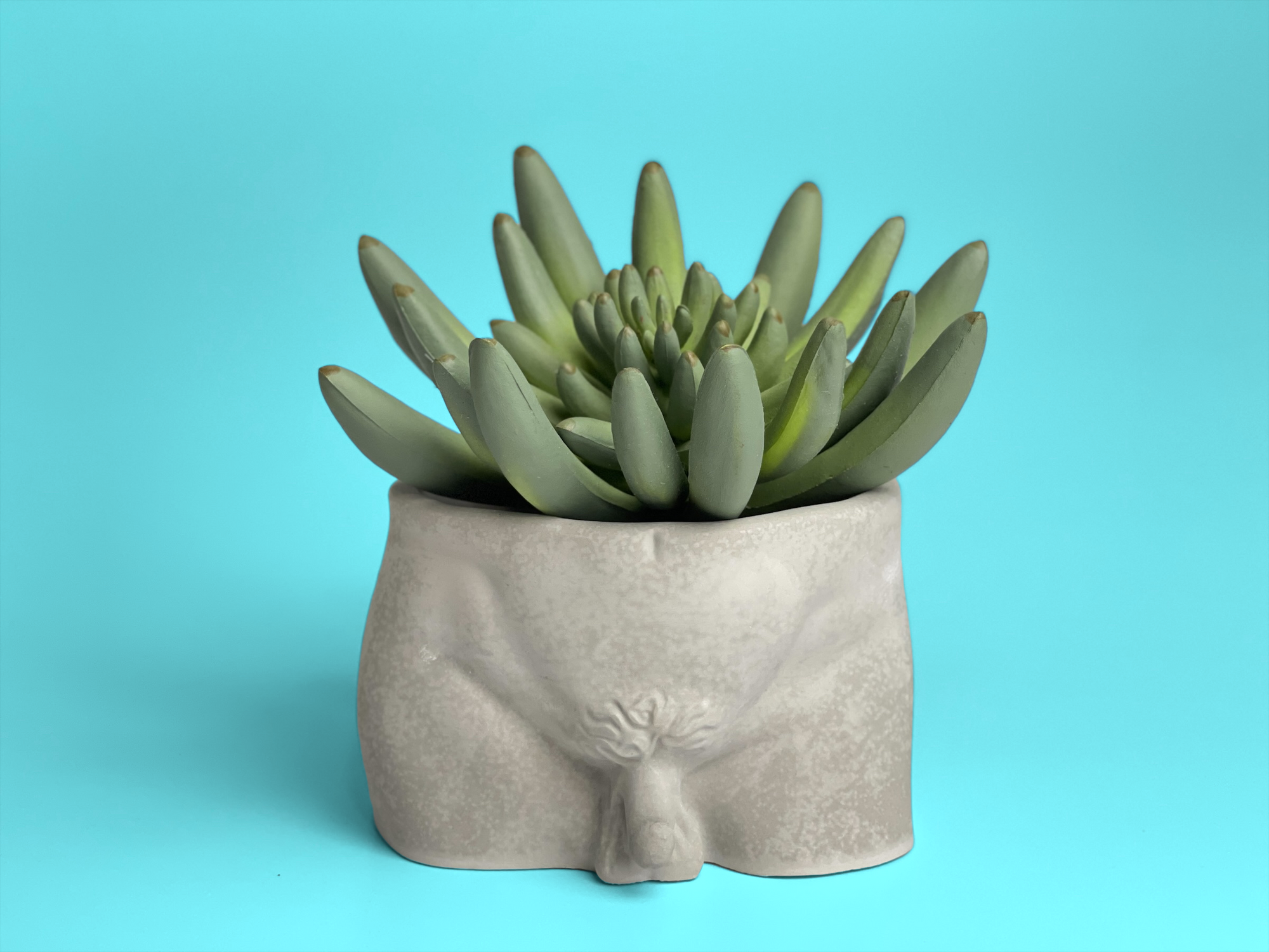 Butt Planter, Men Body Planter Pot, Male Greek Sculpture