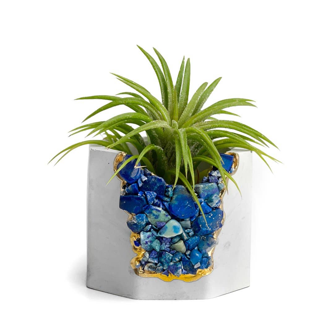 Lapis Lazuli Geode Planter | Air Plant Holder, Succulent Pot