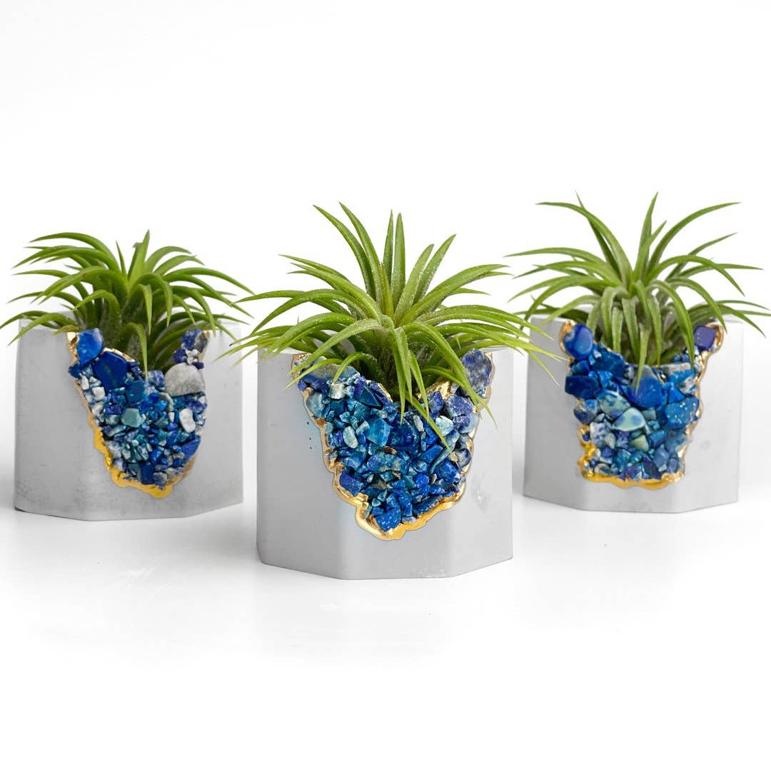 Lapis Lazuli Geode Planter | Air Plant Holder, Succulent Pot