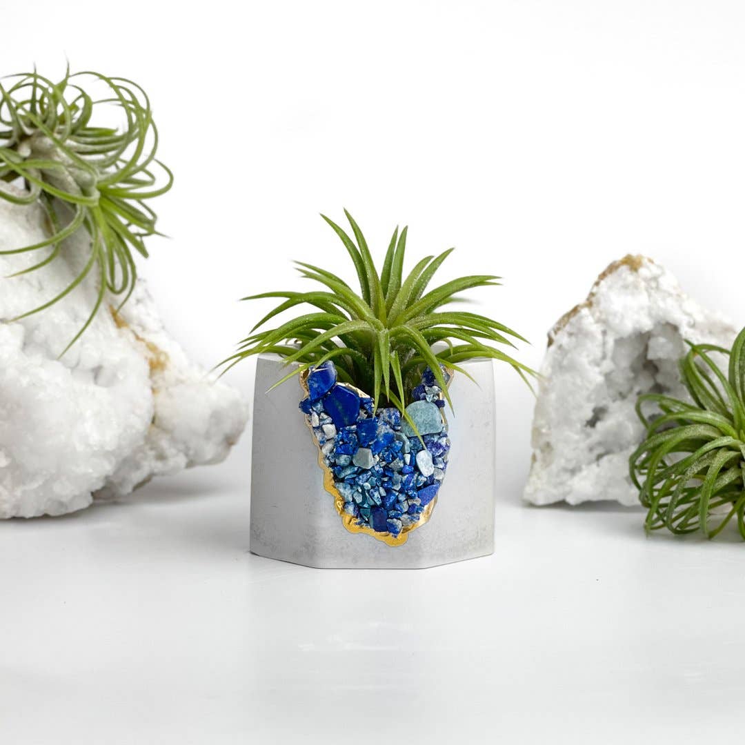 Lapis Lazuli Geode Planter | Air Plant Holder, Succulent Pot