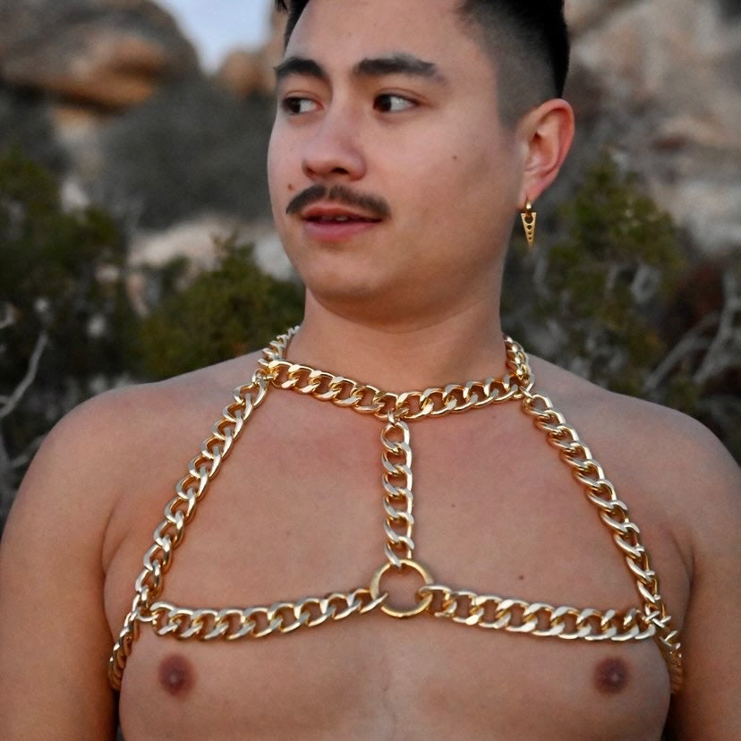 DOLT Chain Busty Harness